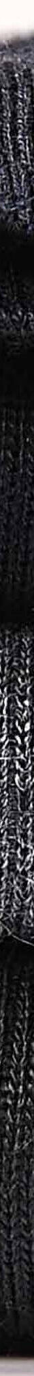 Chaussettes anti-froid non comprimantes - lot de 2 paires (noir) Chaussettes anti-froid non comprimantes - lot de 2 paires (noir)